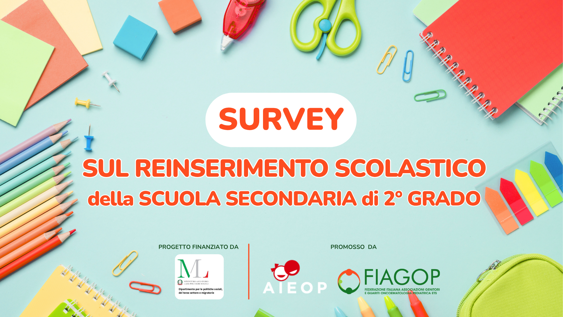 Survey sul reinserimento scolastico delle ragazze e ragazzi della scuola secondaria superiore